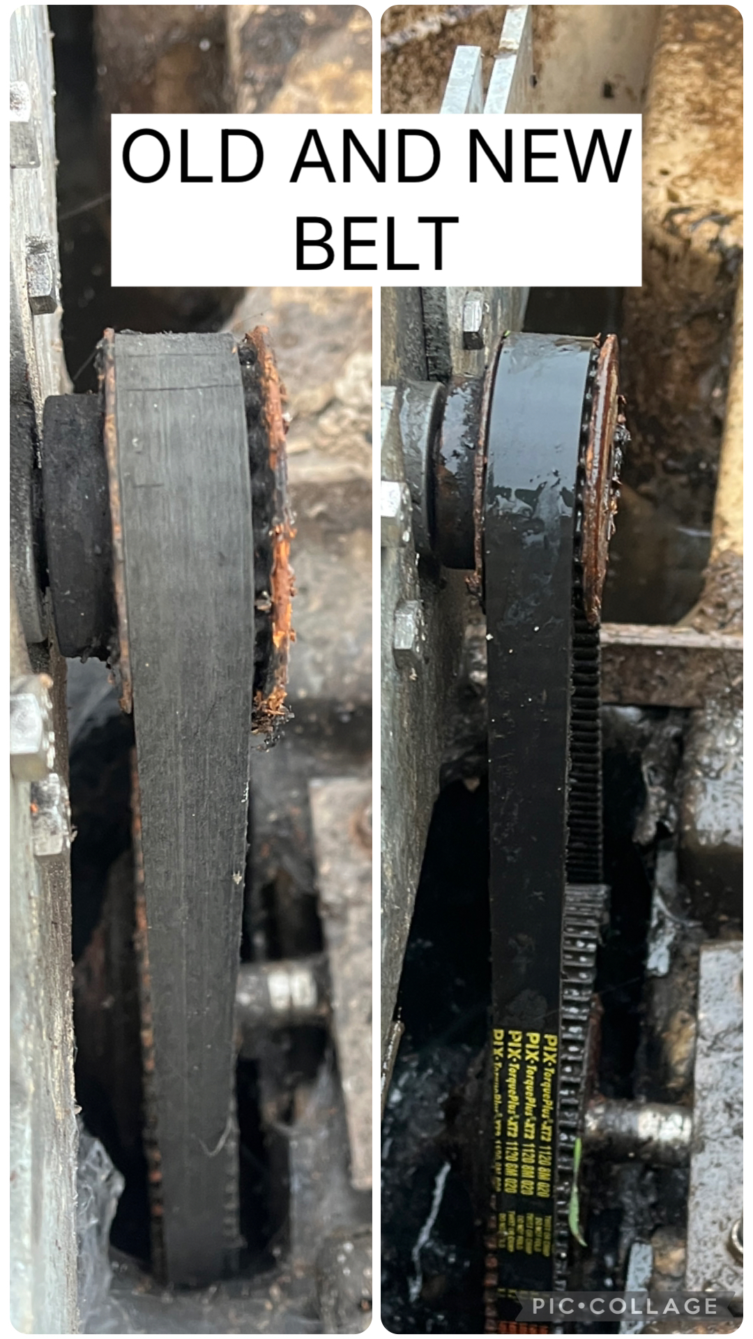 Old and new belt during BA BioDisc service Strathaven