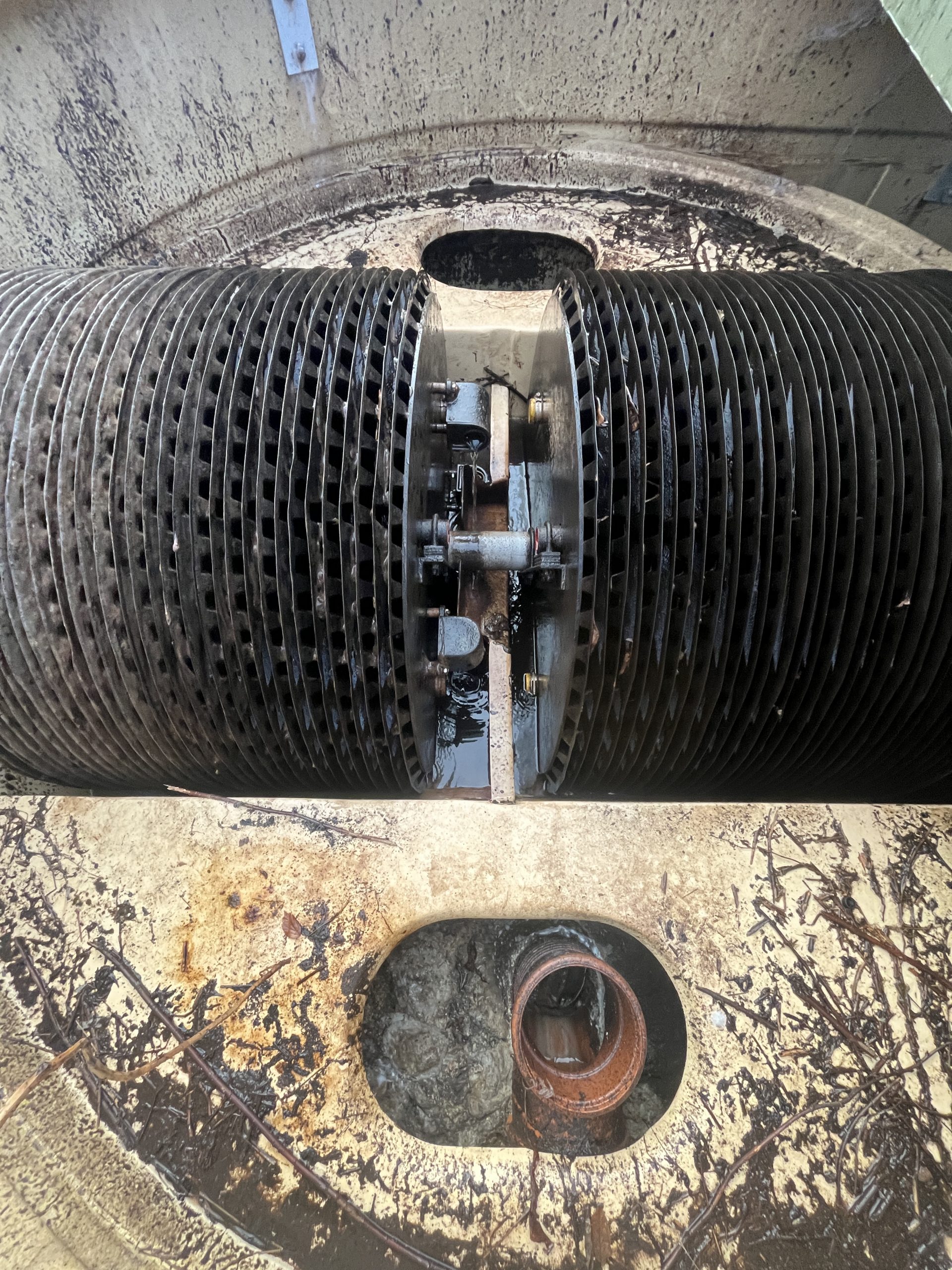 BD BioDisc forward feed system in Garvarld