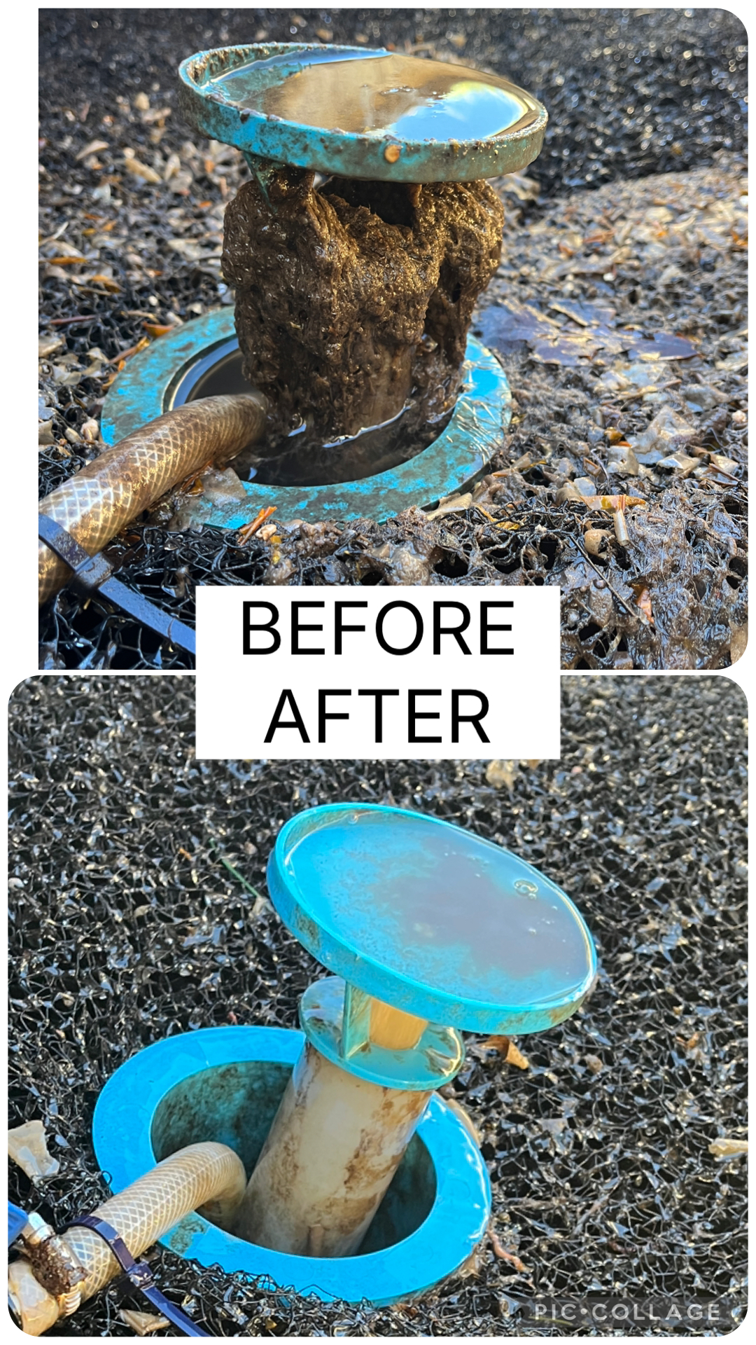 Spray cone unblocked during BioTec P12 service Dolphinton