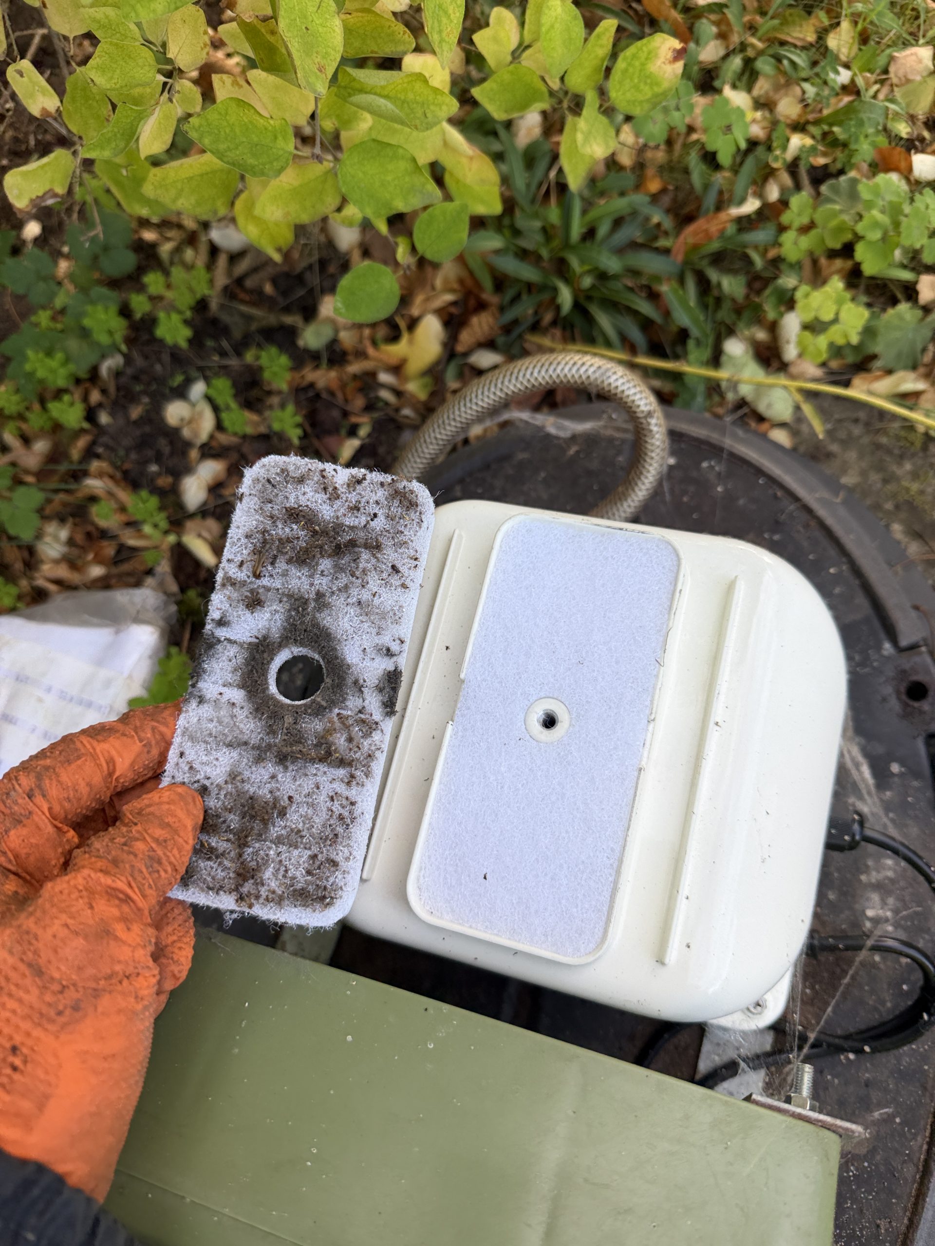 Old contaminated SECOH JDK-60 air intake filter compared with new replacement during Klargester P6 BioTec service in Cupar Fife