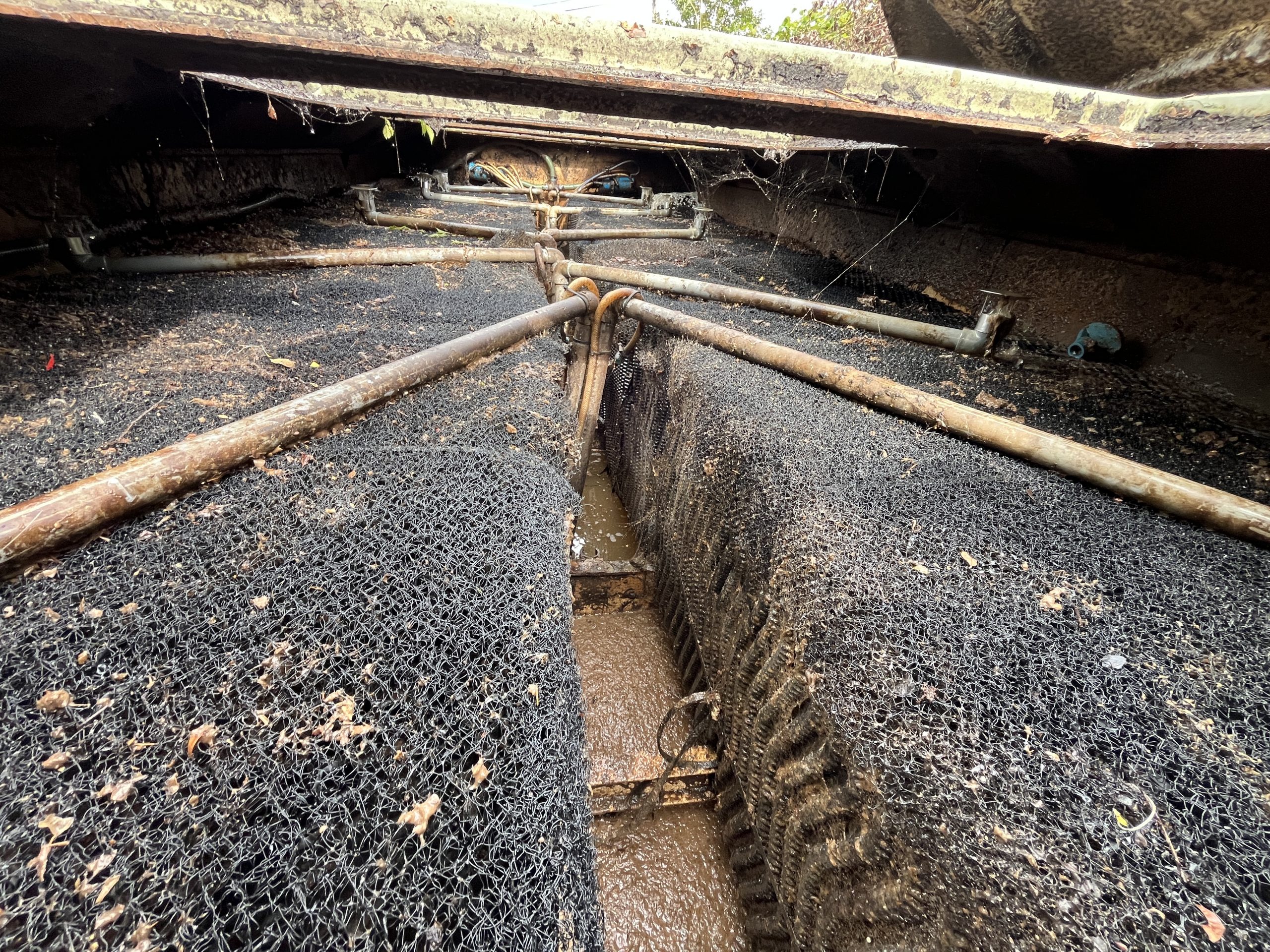 Clean P150 BioTec chamber after annual service in Dunning, Perth and Kinross