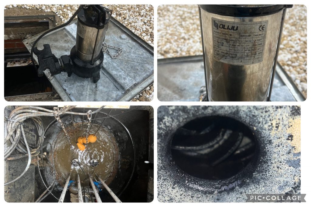 Raw sewage pump and pump chamber